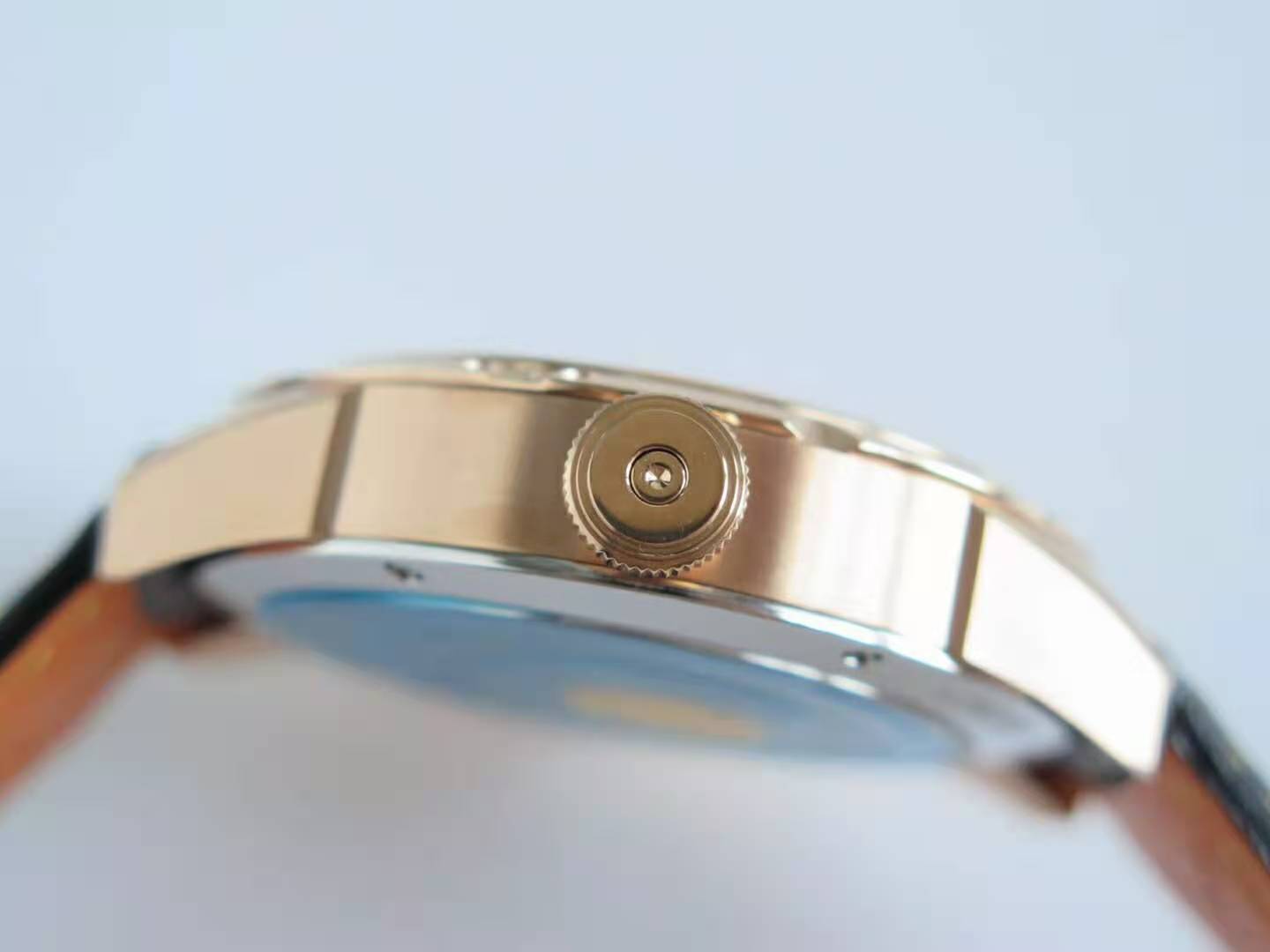 Wristmons 2019 Unique Pig